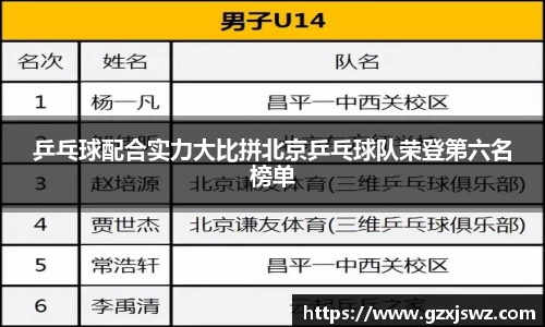 乒乓球配合实力大比拼北京乒乓球队荣登第六名榜单